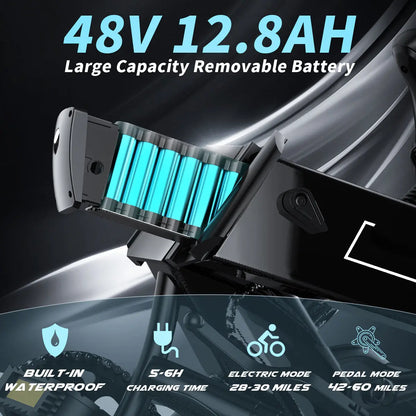Adult Electric Bike 750W Motor 20"*4.0" All Terrain Fat Tire Ebike with Samsung 48V 12.8Ah Lithium Battery Doba